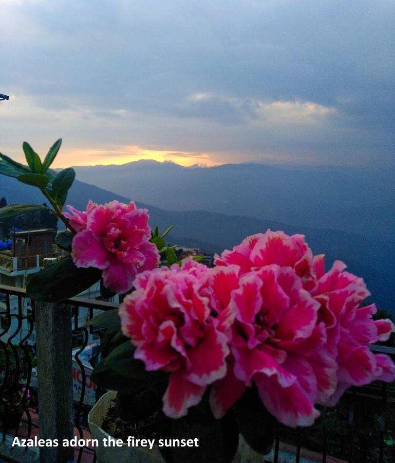 West Point Backpackers Hostel Darjeeling  Eksteriør bilde